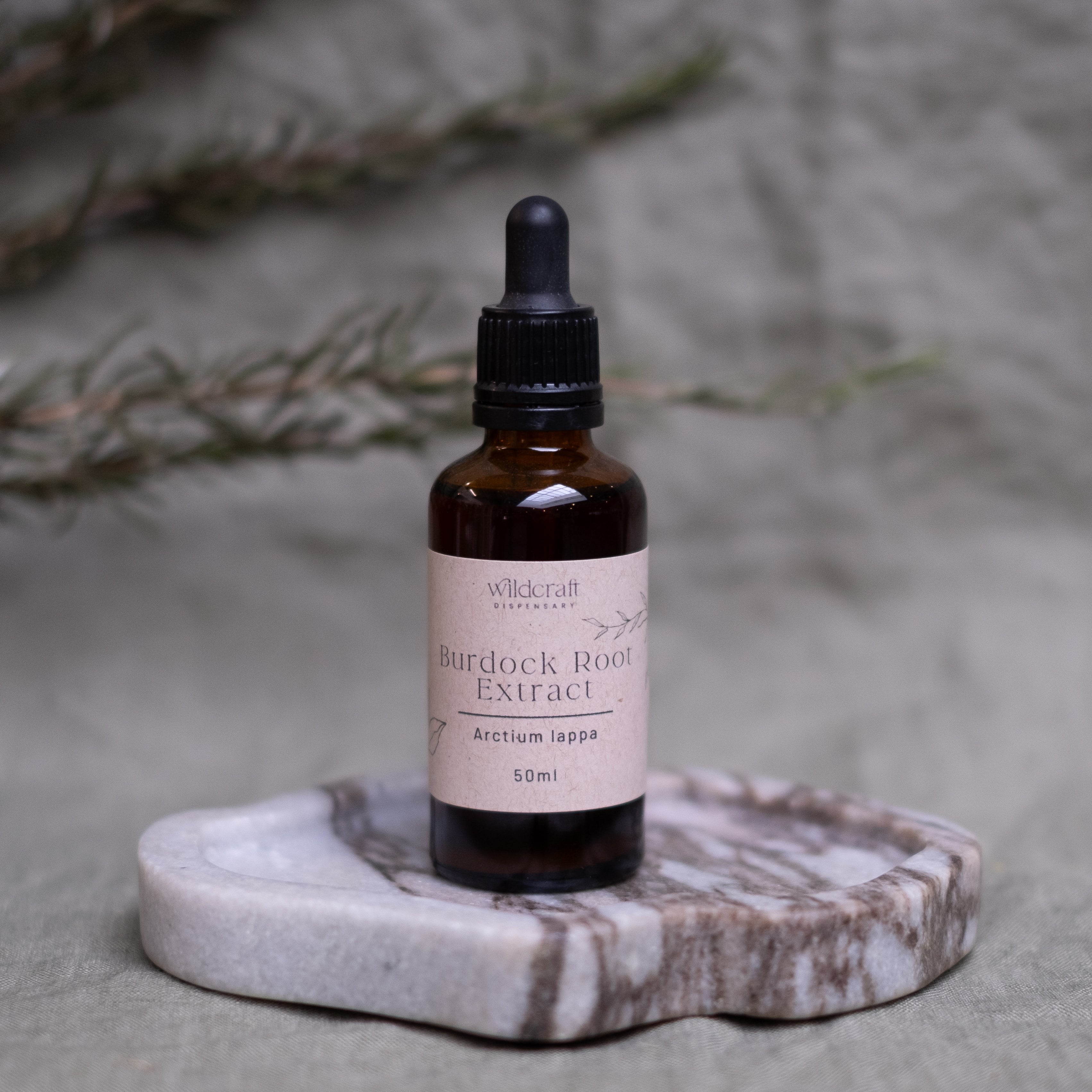 BURDOCK ROOT 50ml Extract / Tincture Herbal Liquid