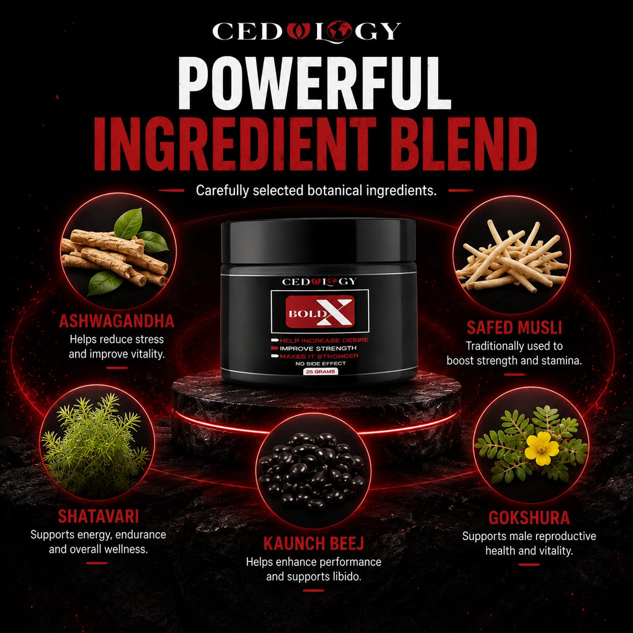 Bold X Cream (25g)