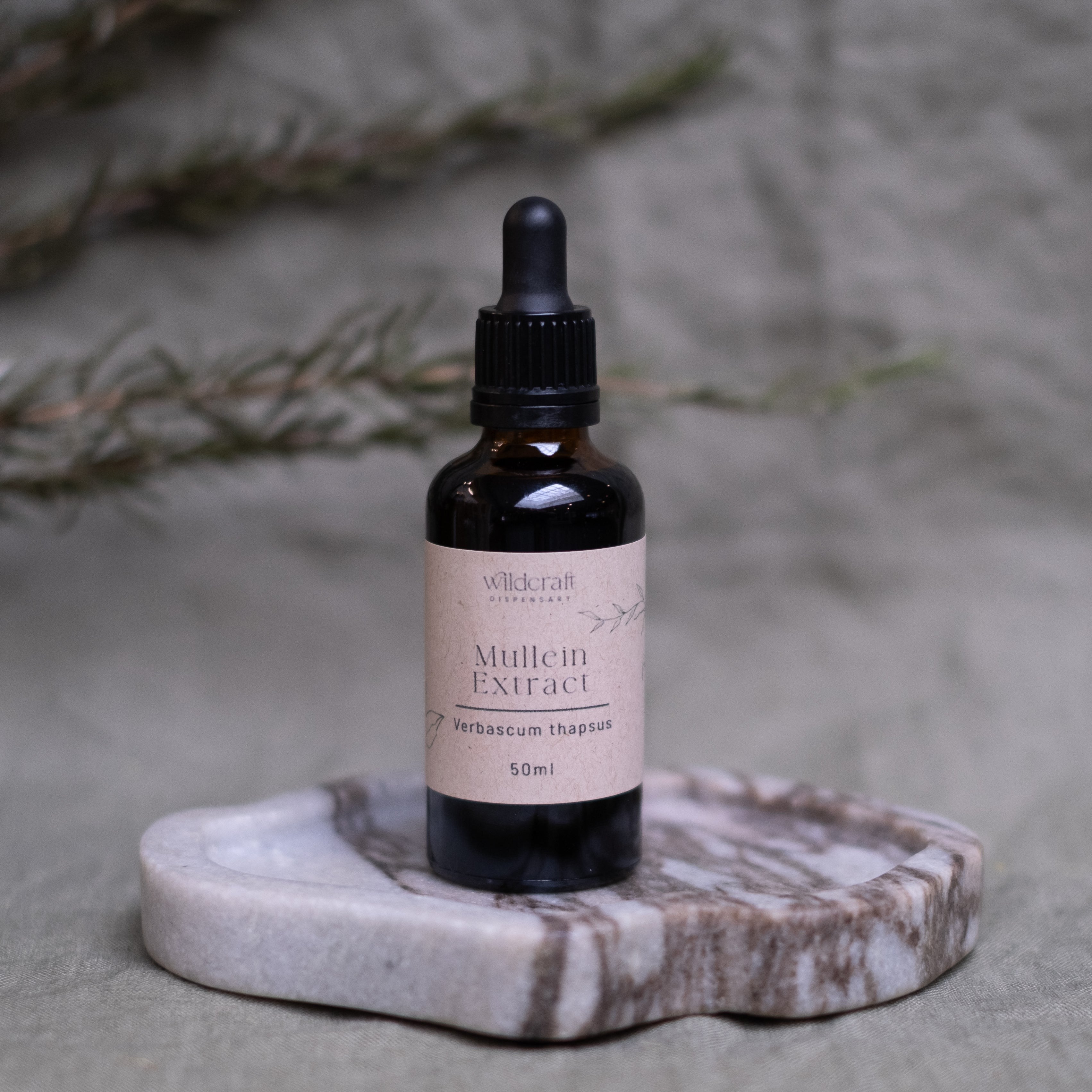 MULLEIN 50ml Extract / Tincture Herbal Liquid