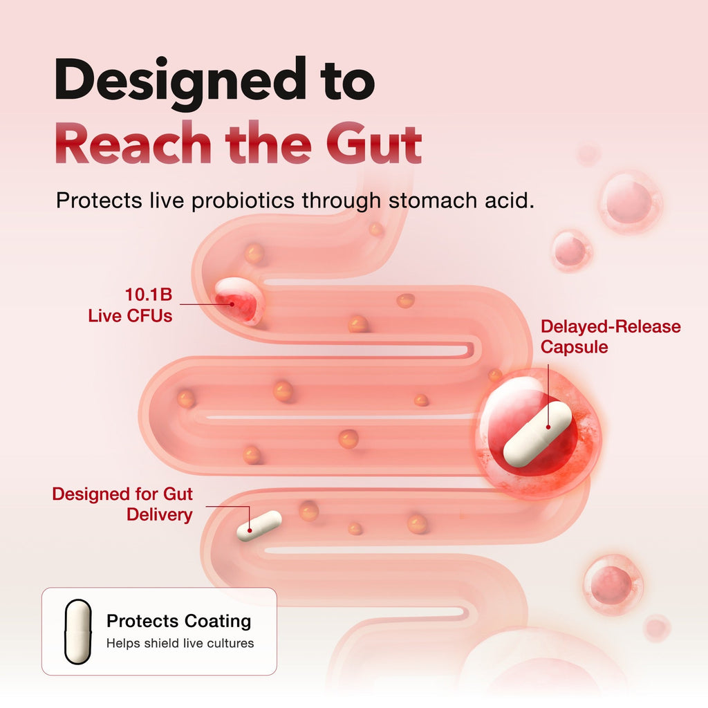 Diet Probiotics for Weight Management & Immune Support