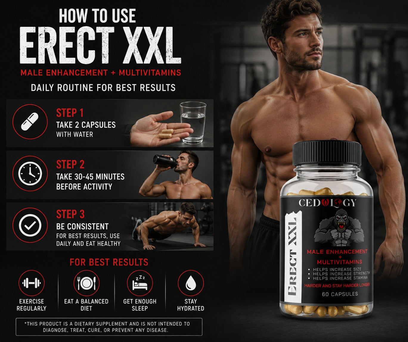 Erect XXL (60 Unit)
