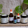 Nervous System Restore Bundle