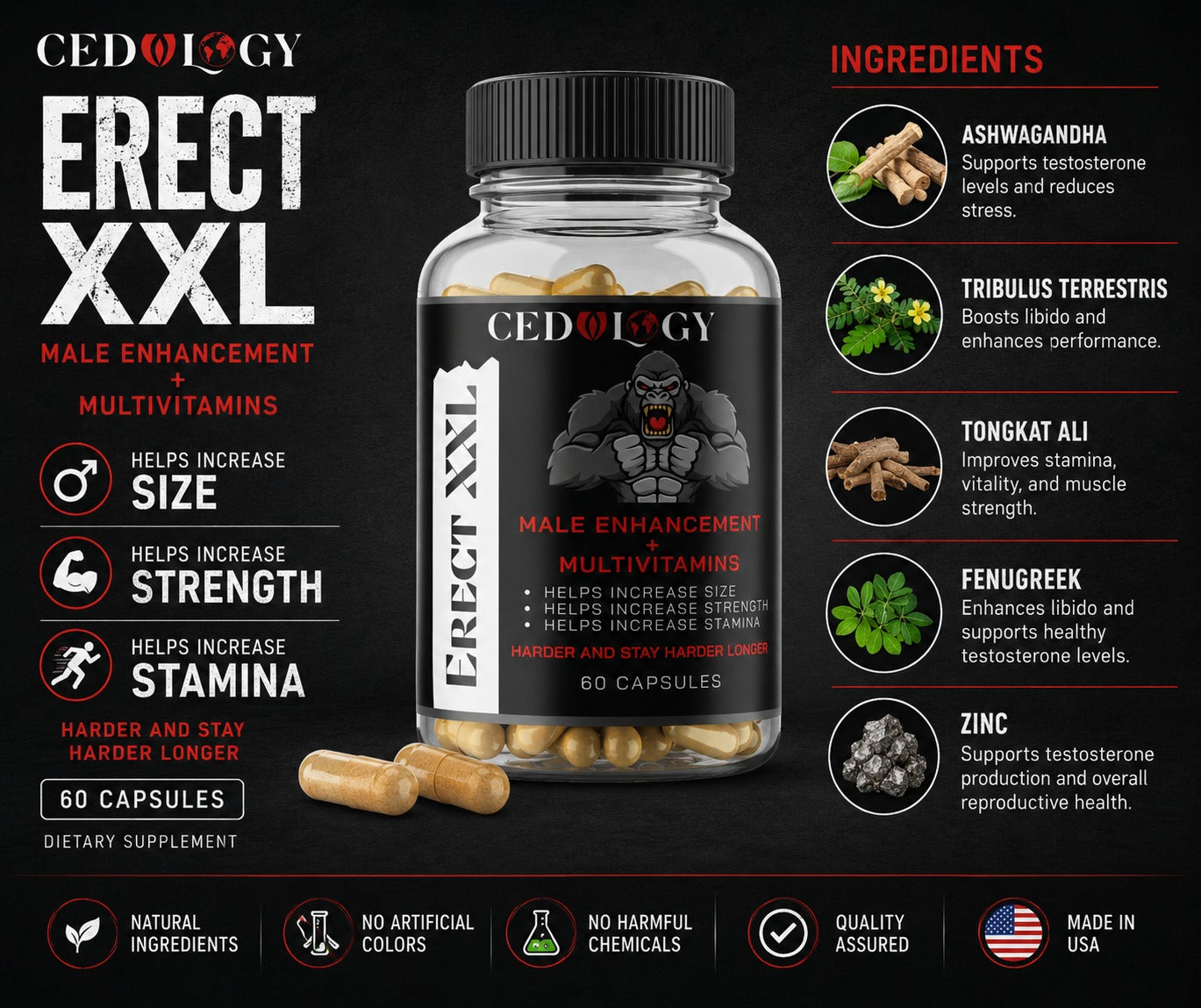 Erect XXL (60 Unit)