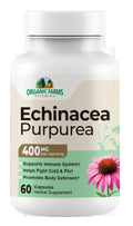 Echinacea Purpurea