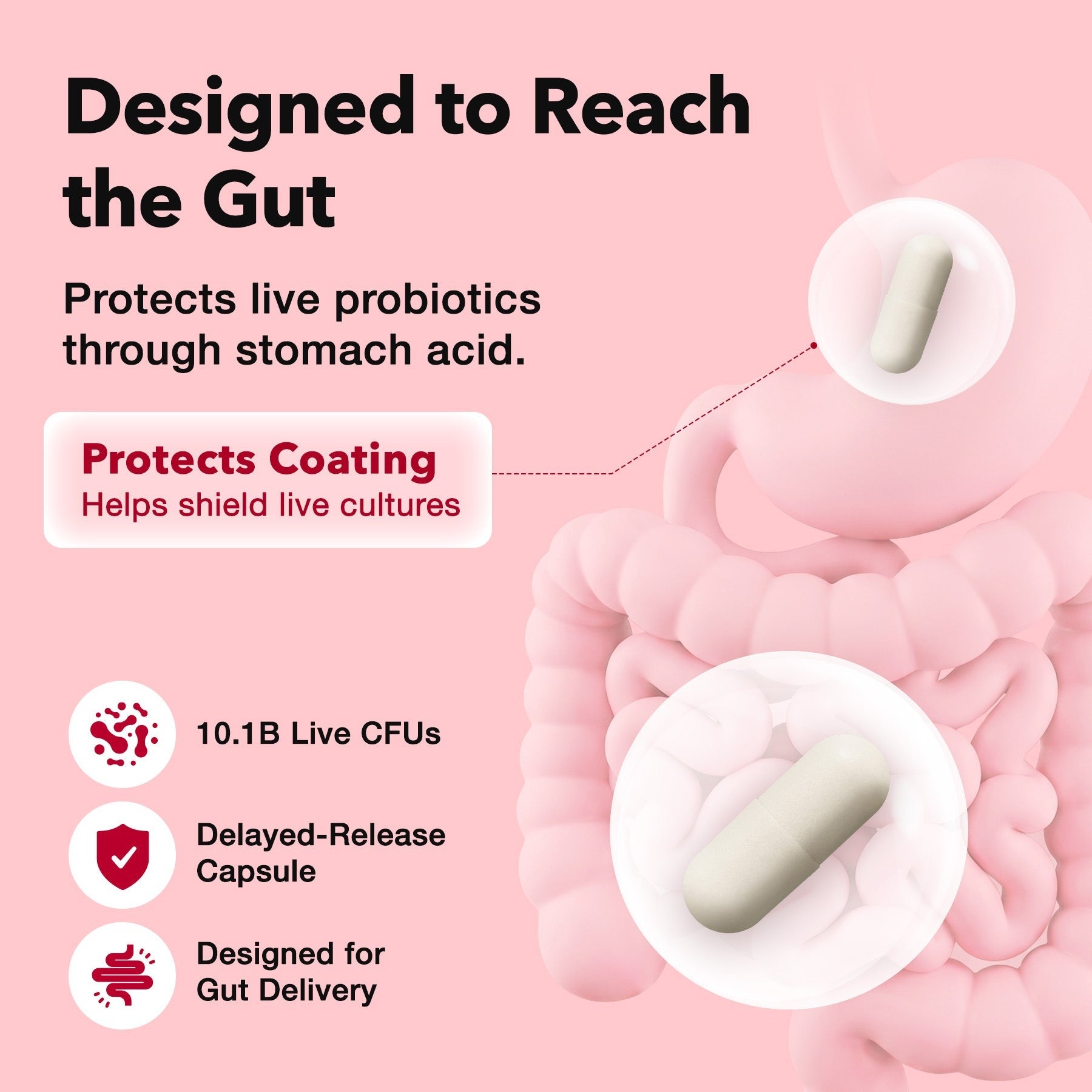 [Amazon] Diet Probiotics for Weight Management & Immune Support