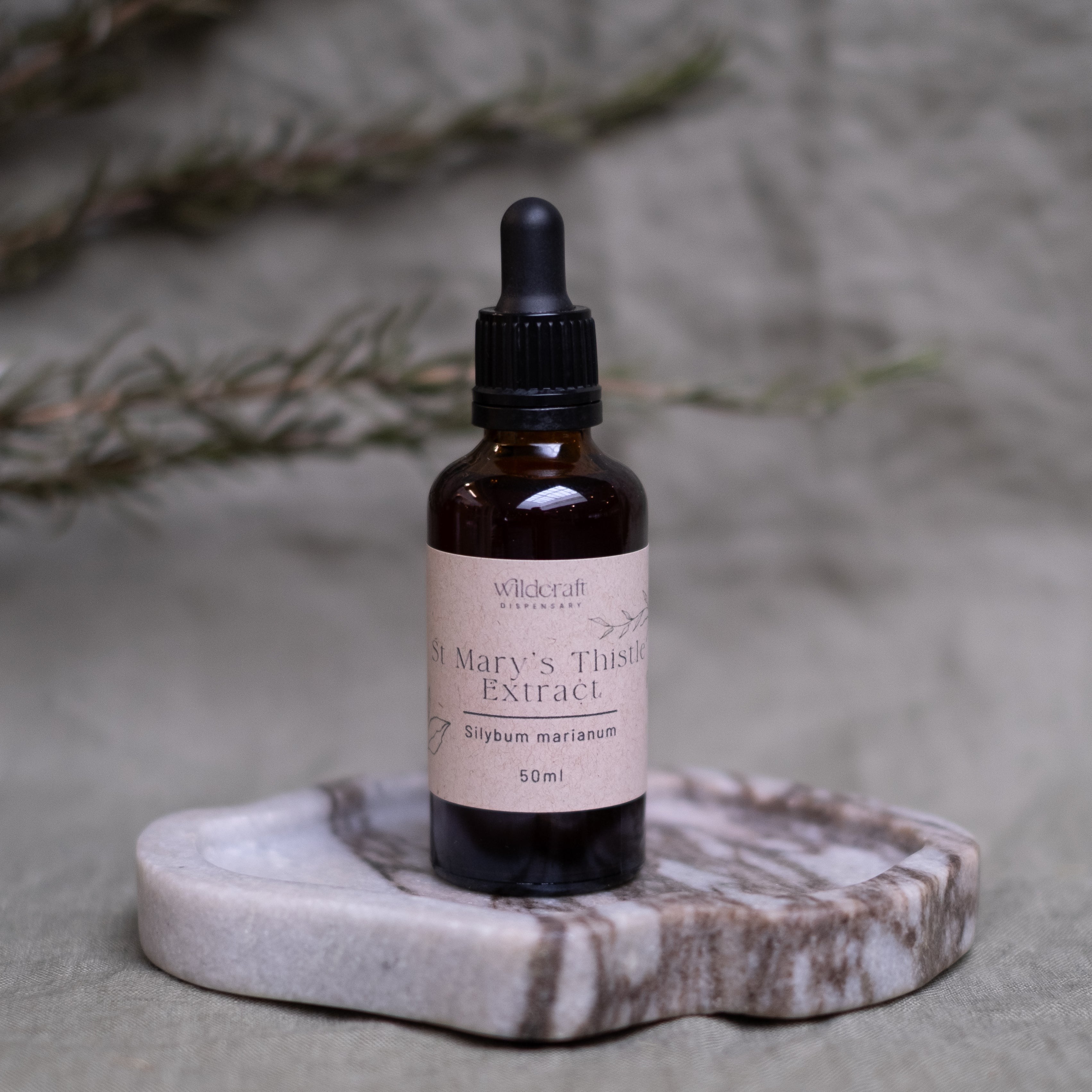 ST MARYS THISTLE 50ml Extract / Tincture Herbal Liquid