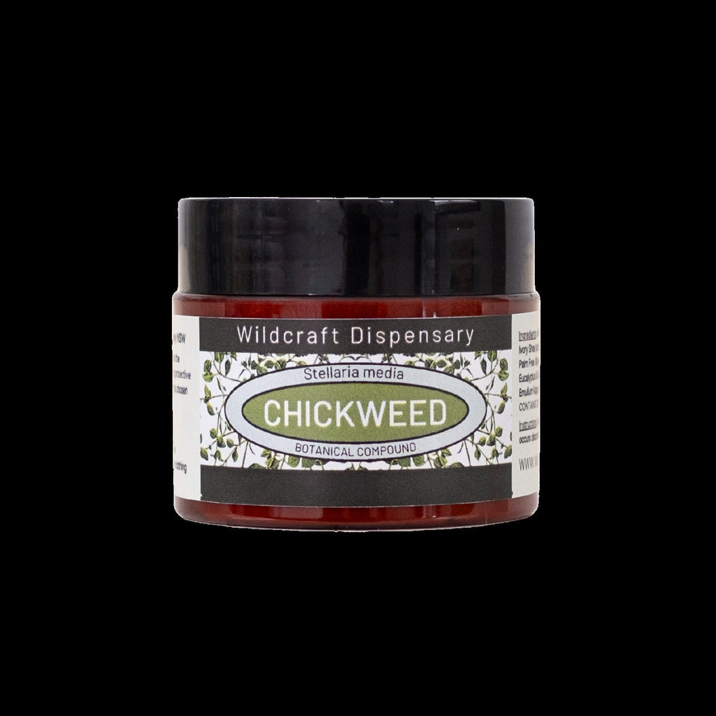 Wildcraft CHICKWEED HERBAL OINTMENT for Eczema Prone and Itchy Skin