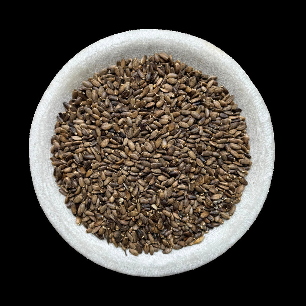 ST MARYS THISTLE SEED PREMIUM HARVEST 200g Silybum marianum – Milk Thistle