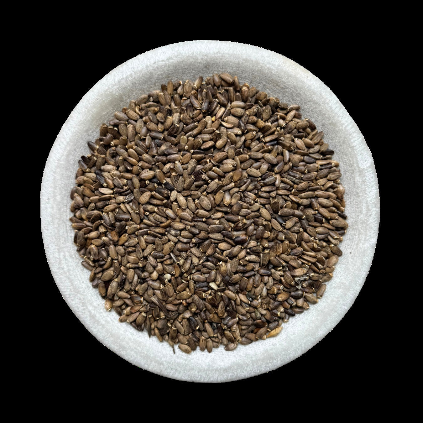 ST MARYS THISTLE SEED PREMIUM HARVEST 200g Silybum marianum – Milk Thistle