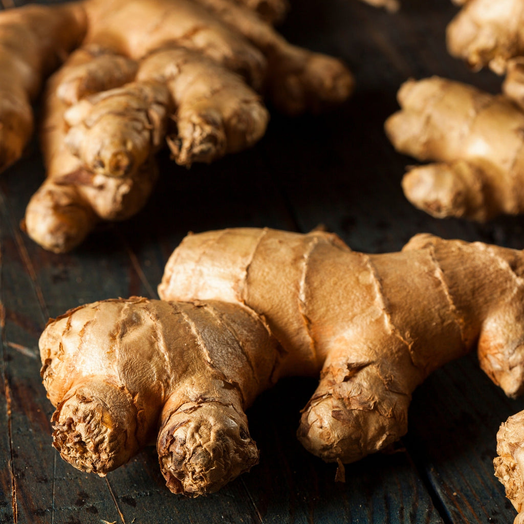 GINGER ROOT PREMIUM HARVEST 200g Zingiber officinale