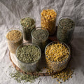 The Herbal Foundations Kit