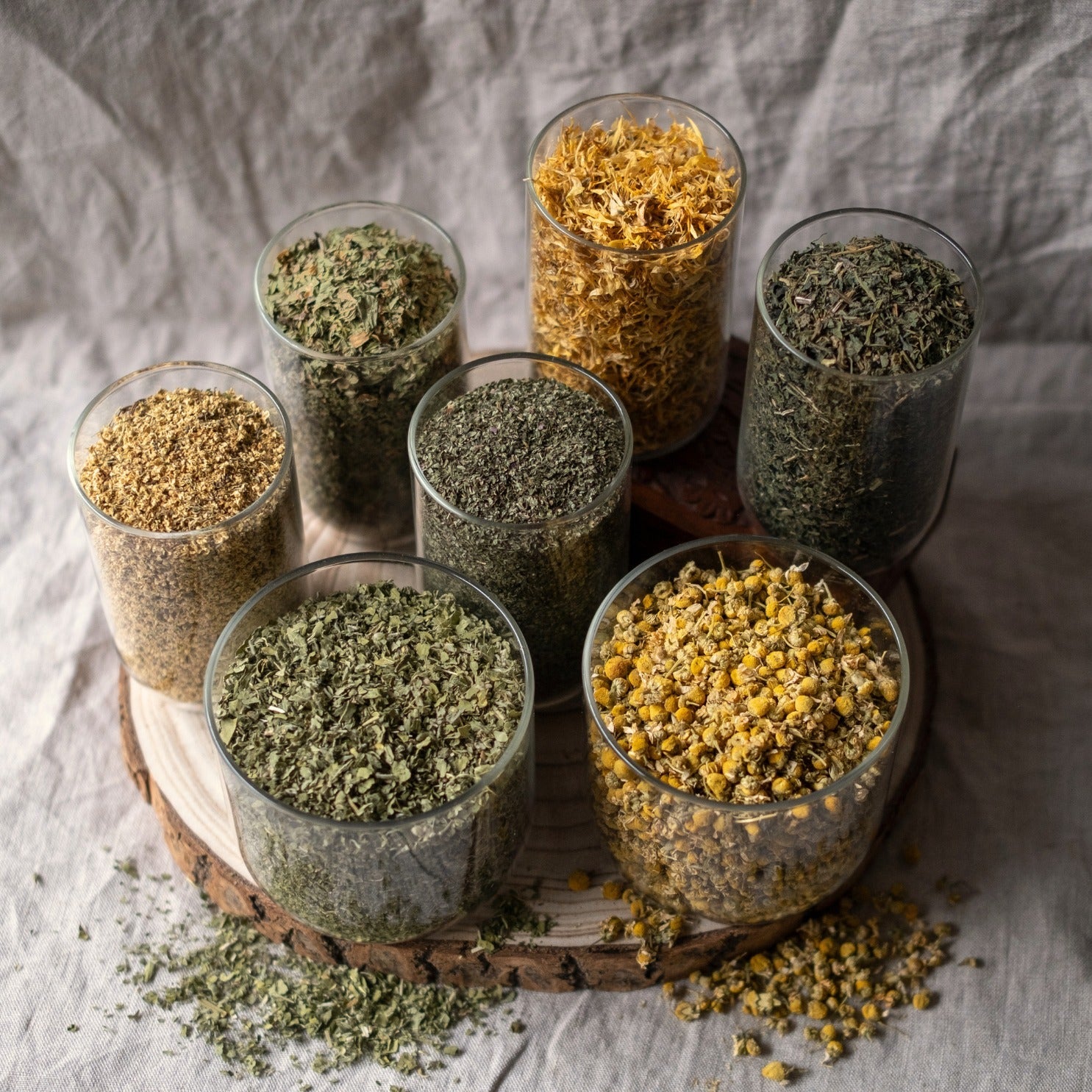 The Herbal Foundations Kit