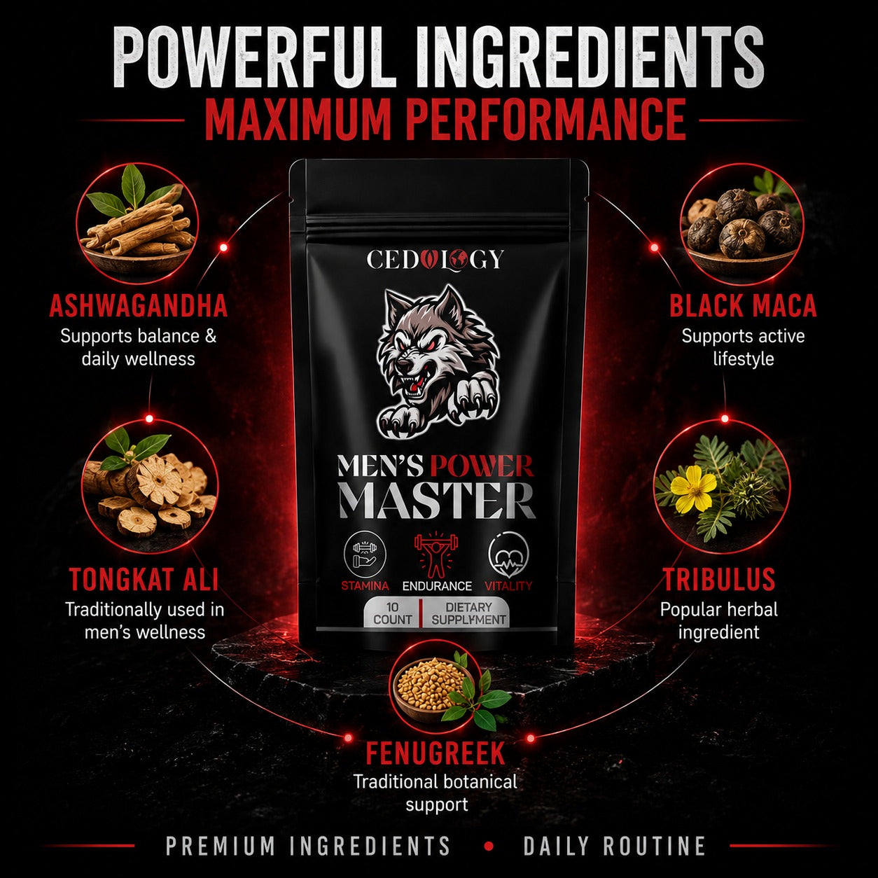 Men's Power Master (10 Unit)