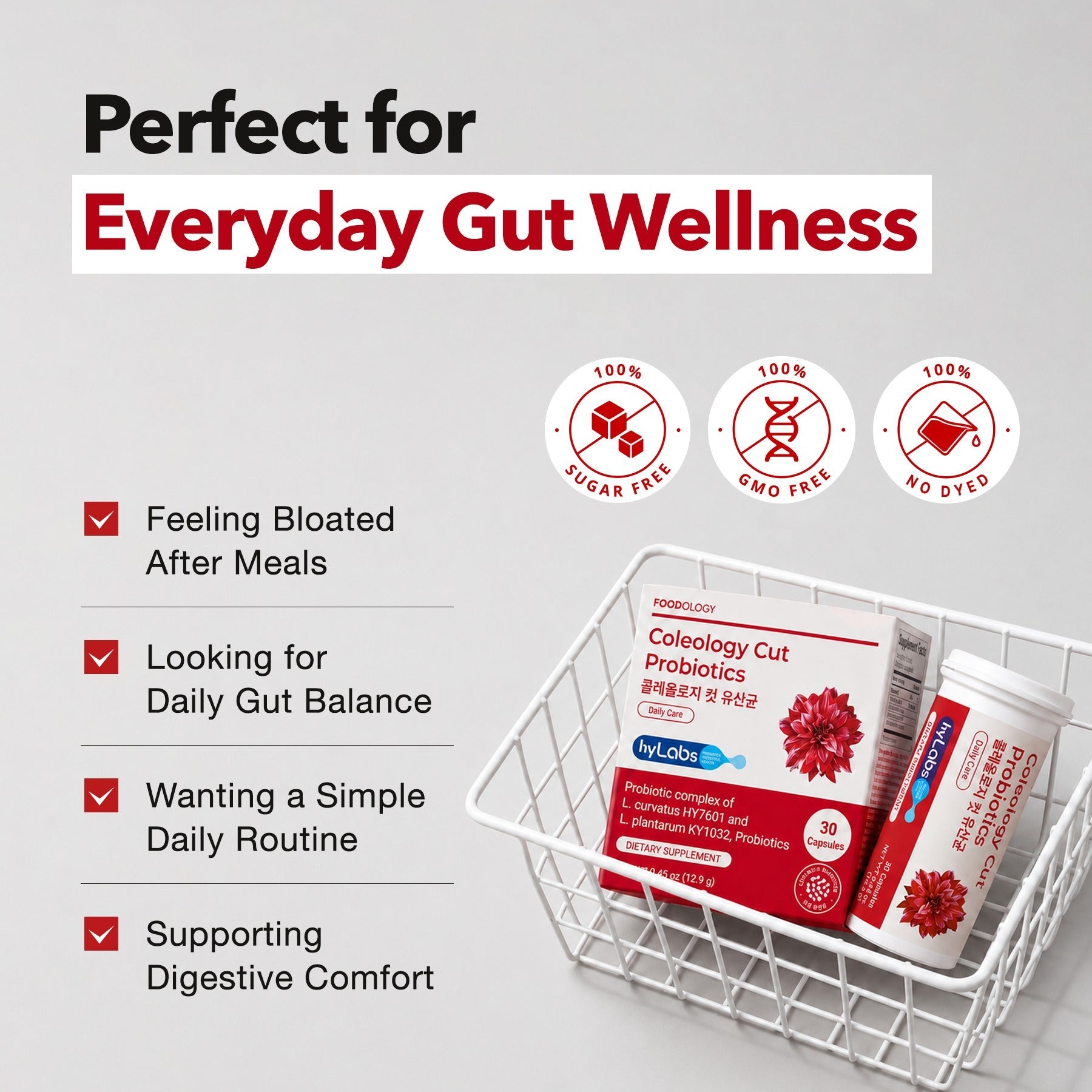 Diet Probiotics for Weight Management & Immune Support