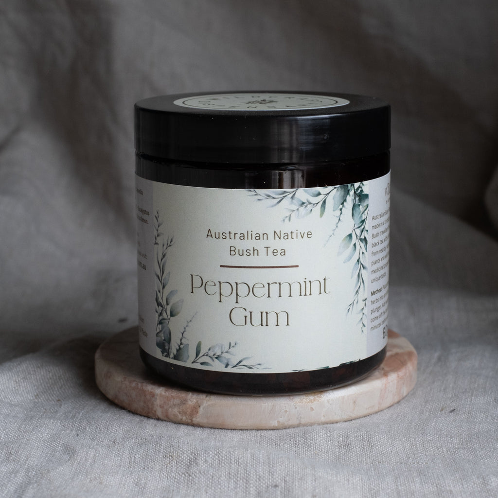 Australian Native PEPPERMINT GUM TEA for Clarity