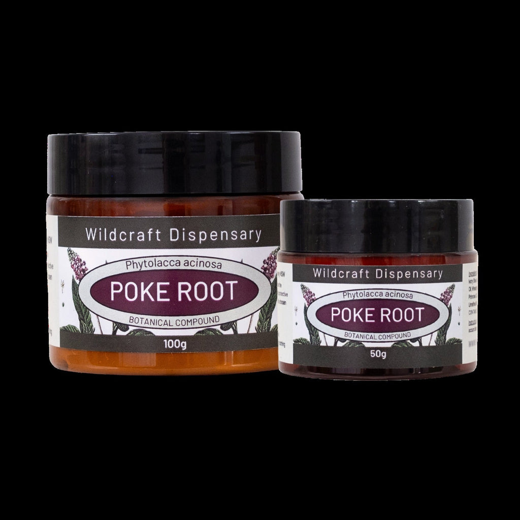 Wildcraft POKE ROOT HERBAL OINTMENT for Swelling and Lymphatic Support