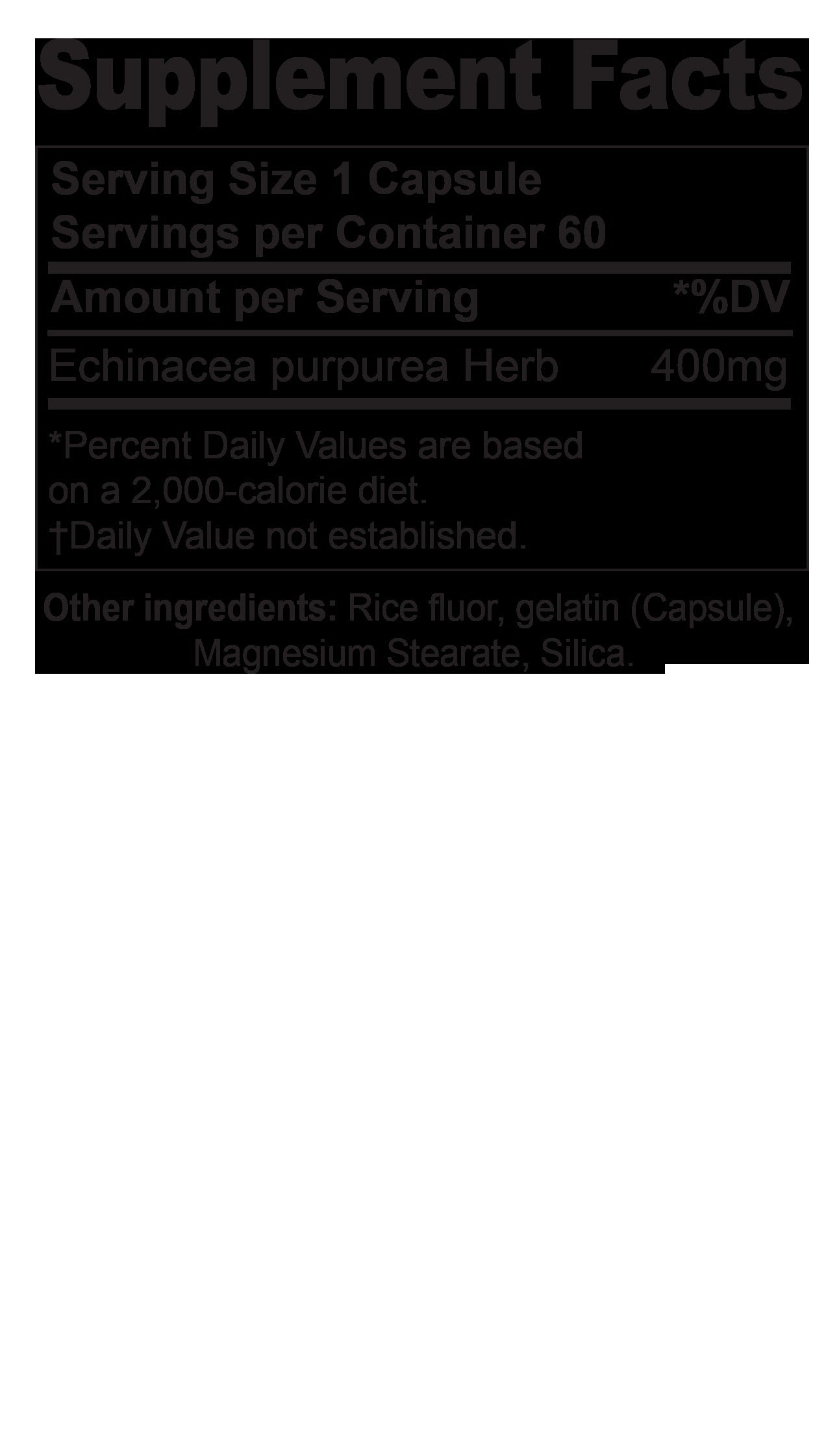 Echinacea Purpurea