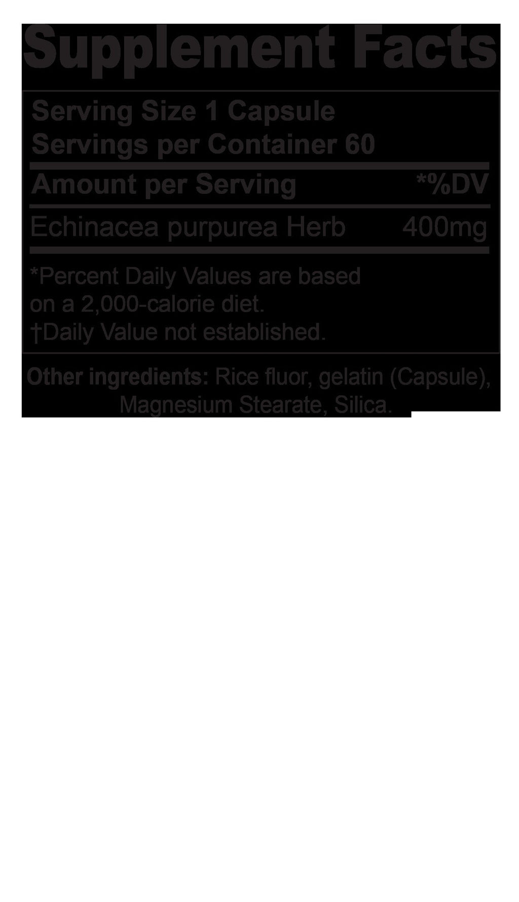 Echinacea Purpurea