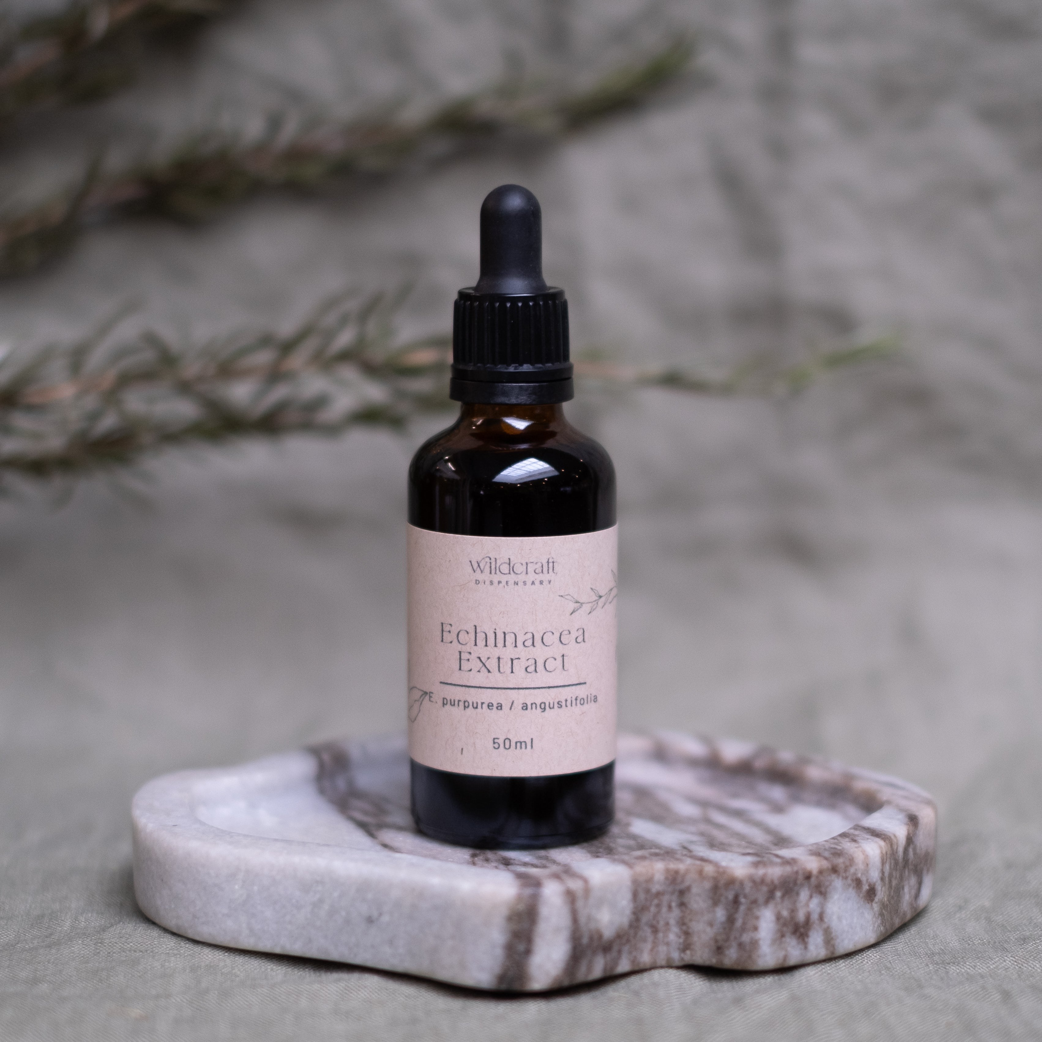 ECHINACEA 50ml Extract / Tincture Herbal Liquid