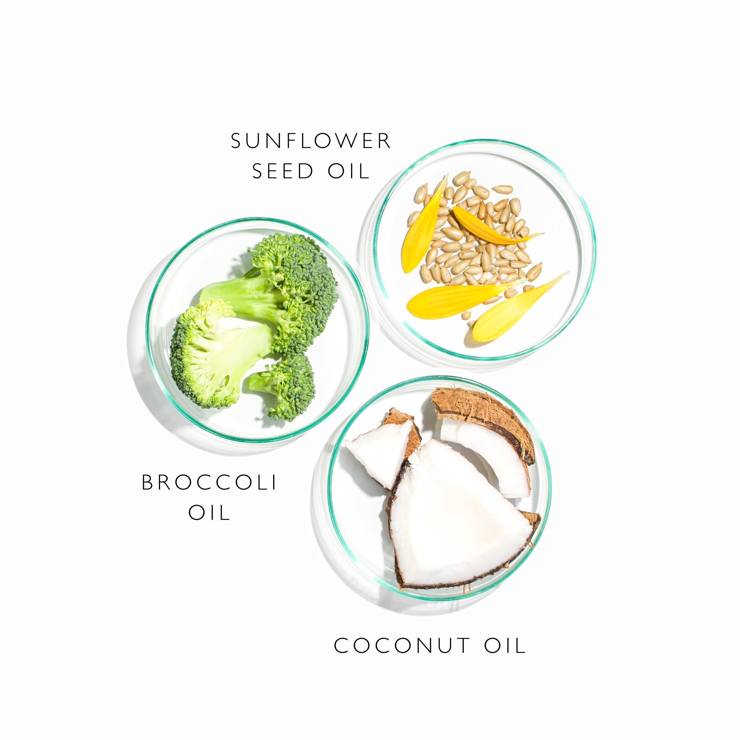 Cleansing Oil Wash