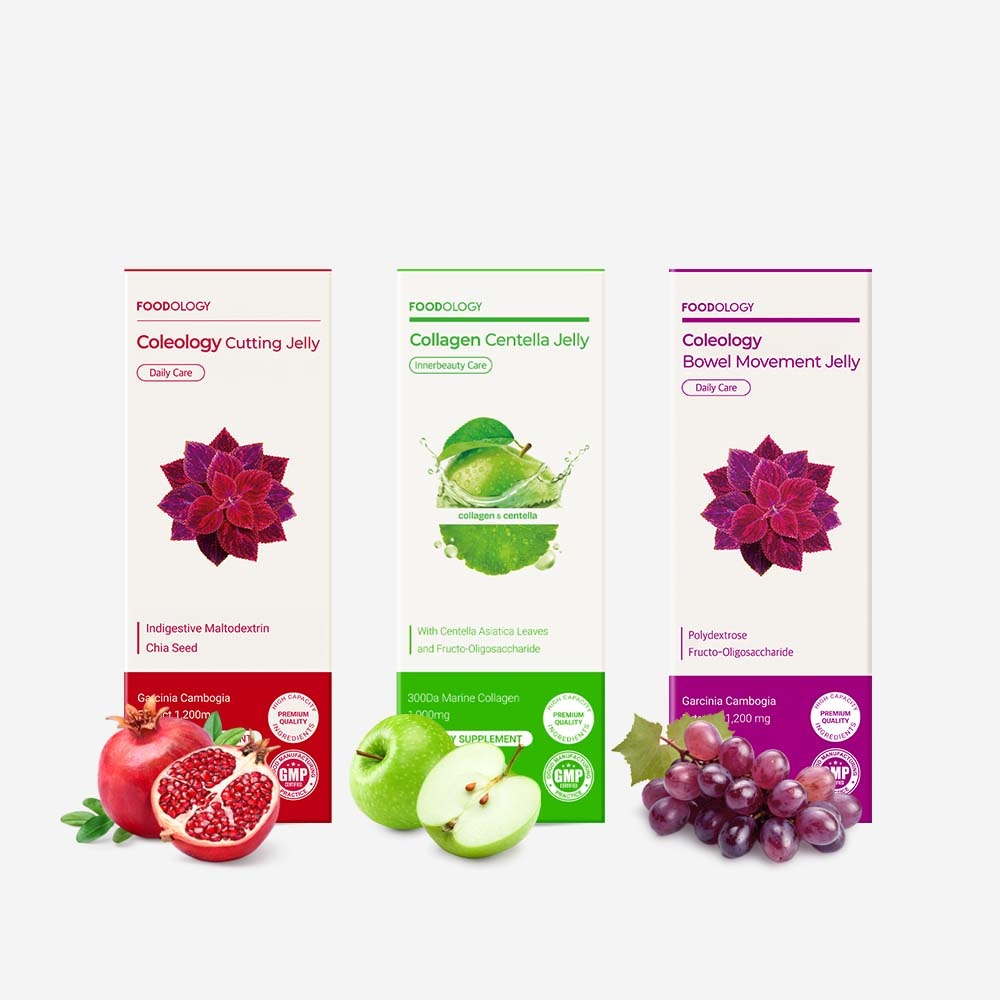 FOODOLOGY US