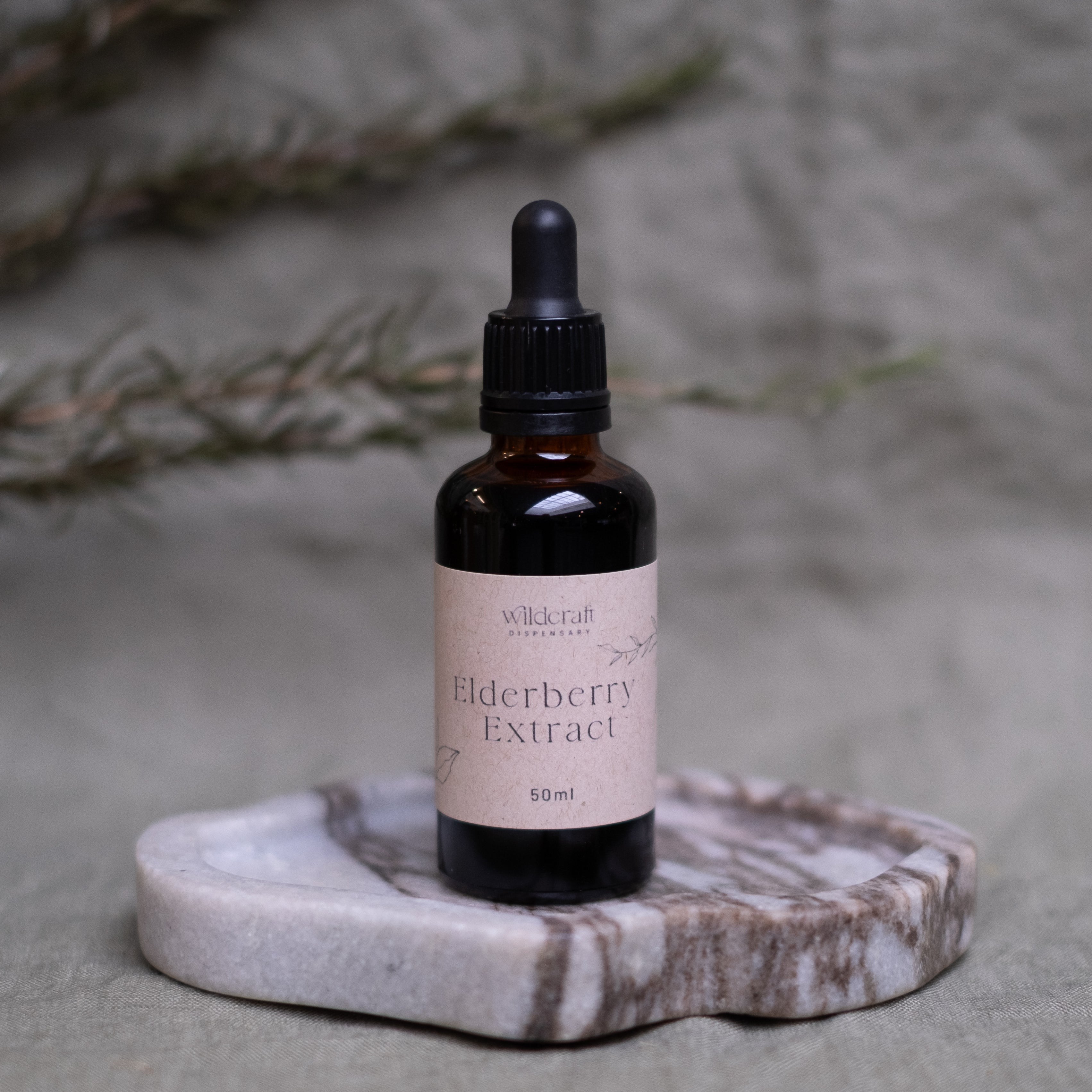ELDERBERRY 50ml Extract / Tincture Herbal Liquid