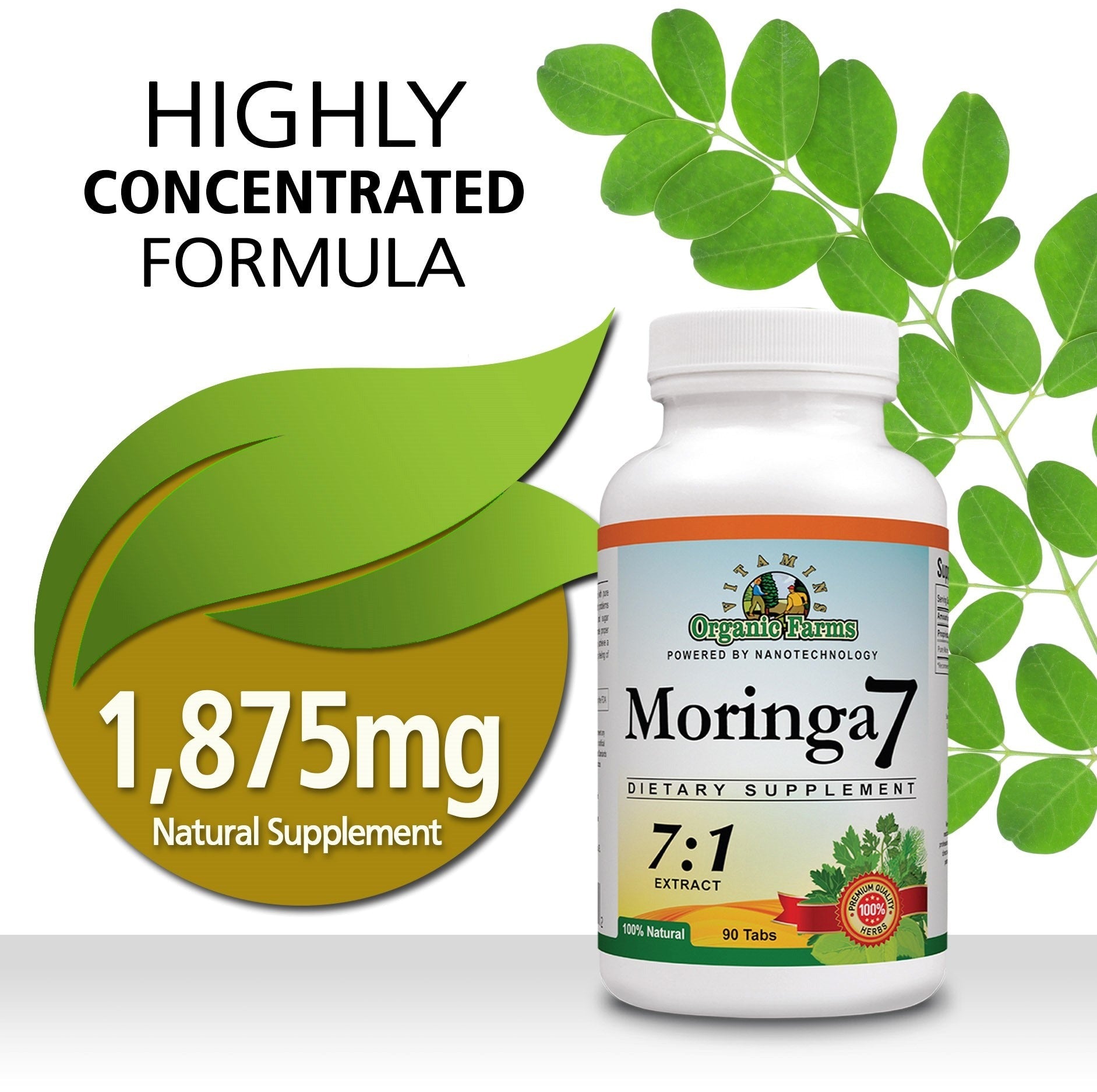 Moringa 7
